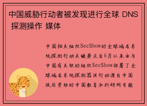 中国威胁行动者被发现进行全球 DNS 探测操作 媒体